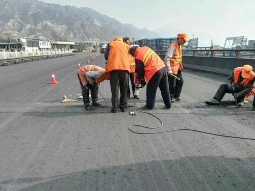 革吉道路桥梁病害治理